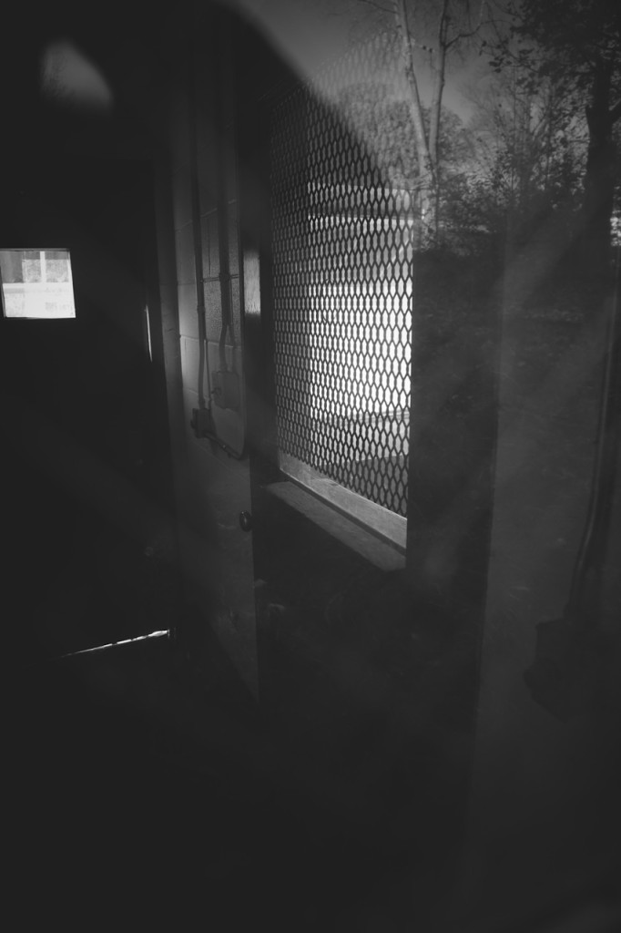 3Q6A7739_cb_rs